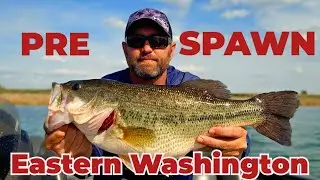 Spring Bass Fishing in Eastern Washington - Sneaky ways to get BIG bites! Part 1