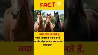 fact video ,youtube shorts ,amazing fact ,unknown fact, interesting fact