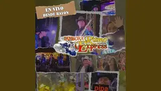 Palomas Que Andan Volando (En Vivo)