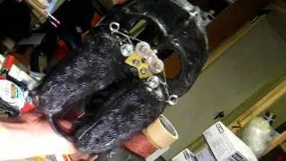 Spider chelicerae test