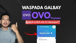 ВОТ РИСКИ НЕВОЗМОЖНОСТИ ОПЛАТЫ С ПОСЛЕДНЕЙ ВЕРСИЕЙ OVO PAYLATER ⁉️