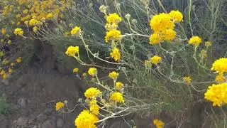 Baker Canyon
