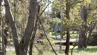 12/8/22 SBORR Gelorup Bussell Highway end narrow section for unsafe 4 lane highway.