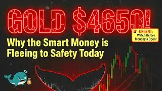 GOLD $4650! Why the Smart Money is Fleeing to Safety Today 🐋💰