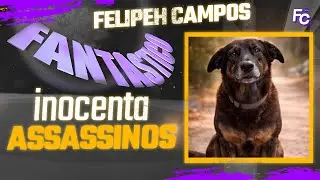 💣  FANTÁSTICO FAZ MATÉRIA 'CAPENGA' SOBRE CÃO ORELHA E DIVIDE OPINIÕES