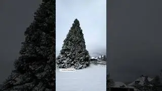 Snow in Kirchberg BE Switzerland🇨🇭