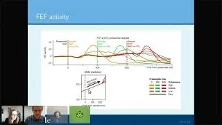 Maxwell Shinn : Transient neuronal suppression for exploitation of new sensory evidence...
