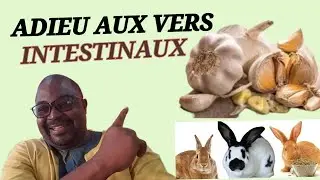COMMENT UTILISER L'AIL POUR VOUS DEPARASITER ET DEPARASITER VOS ANIMAUX NATURELLEMENT
