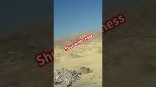 Shur wilderness (exodus:15;22)