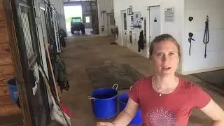 How to have a fly free horse barn