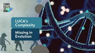 LUCA&rsquo;s Complexity and Missing in Evolution | Stars, Cells, and God