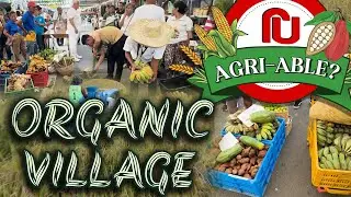 R U Agri-Able Episode 16 Organic Village