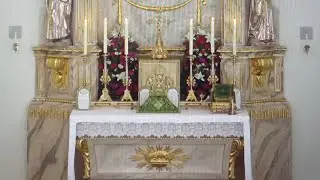 NOVUS ORDO I MSZA TRYDENCKA. Piję herbatę w pustelni - malarz, kucharz, czarnowidz - wizje na żywo
