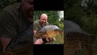 Big common #carp #carpfishing #fish #fishinglife #fishing #hindersbait #fish #freshwaterfish #uk