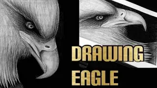 Drawing eagle head | uz designer [timelapse] #eagle #eagledrawing