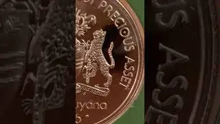 Overview Of 1 Dollar POOF Guyana Coin By Franklin Mint