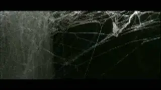 Spiders in My Basement