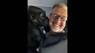 I Met a Baby Gorilla Through AI&hellip; Now I Want to Adopt Him 😭. #ai #animals #gorilla