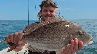Drifting for Cobia and Pearl Perch: Bait & Tackle Tips #moretonbay