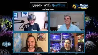 Rappin With ReefBum: Guests, Tullio Dellaquila from Reef Brite AND Rich & Ben from Reef Beef!