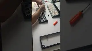 Come Build With Me! GMK67 with LF Gateron Oil King from KBSwitches!  #mechanicalkeyboard  #typing