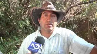 La verdad tras la cantera clandestina de Hualqui