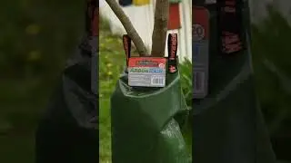 Effortlessly hydrate your young and newly-planted trees with Leonard ArborRain Towers. #arborist