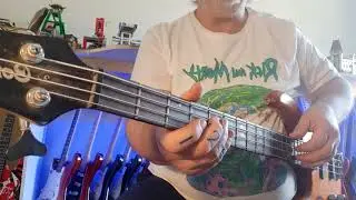 Drop D tune Bass