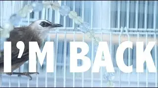 I'm back
