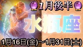 水瓶座♒️さん⭐️1月後半の運勢🔮新しい始まりの時‼️大切な人との出会いや絆が深まる事も🌈🌈