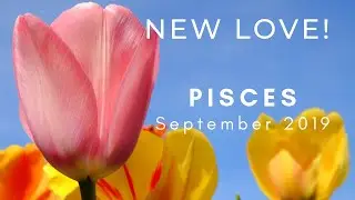 PISCES: New Love! September 2019