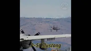 Watch the P-51 Mustang WWII Fighter Airplane at Landing #aviation #military #history