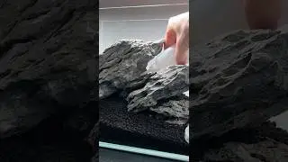 ↖️Easy Lowtech Iwagumi #aquascape #aquascaping #fishtank #aquarium #plantedtank #plantedaquarium