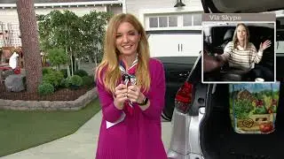 High Road Set of 4 Car Hook Seat Hangers on QVC