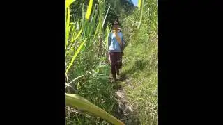 Chakwag(4)