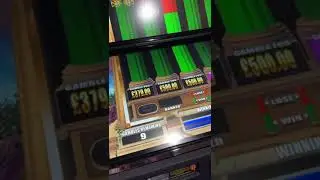 Hercules slot big gamble for jackpot??