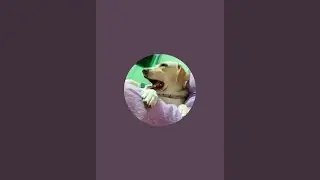 myonlinelife  is live! Dog and Rabbit 🐰🐇 friends forever ♾️ love , care, affection  true friendship 