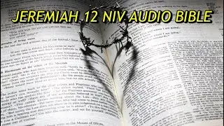 JEREMIAH 12 NIV AUDIO BIBLE(with text)