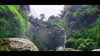 Peaceful River Sounds with Birds  Ultimate Deep Sleep (10 Hours)