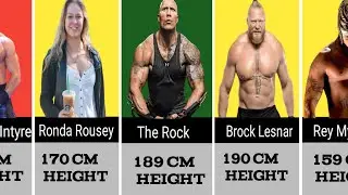Real Height Of WWE Wrestlers || WWE Famous Wrestler Height