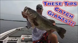 Lake Fork Bass Fishing: Plastic Worm Tips For Fall Transition!!!