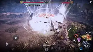Paladin Rabam Skill Combo DMG Sample