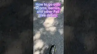 How to go over berries, acorns, and other Fall tree debris on trails and streets