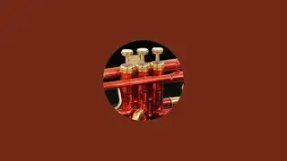 Trumpet Hacker - Trumpet 🎺 Checks ( Expensive and Low Budget)