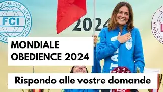 Mondiale Obedience 2024 - Come ti sei preparata? (1/12)