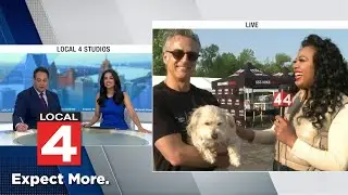 'Meet Your Best Friend at the Firm' returns to help animals find homes