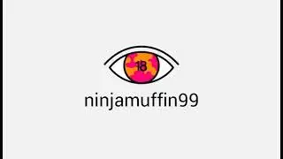 Ninjamuffin99 👁️ 2023