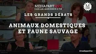 «  Cessons cette distinction entre animal domestique et animal sauvage »