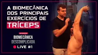 O que todo personal precisa saber sobre TRÍCEPS | Biomecânica Descomplicada #001