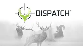 Introducing the DISPATCH Reticle (short version)